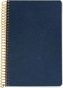  LOGINOTES SPIRAL LINE METALLIZE 13  20 CM   (120)
