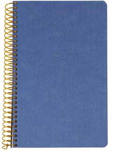  LOGINOTES SPIRAL LINE METALLIZE 13  20 CM  (120)