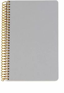  LOGINOTES SPIRAL LINE METALLIZE 13  20 CM  (120)