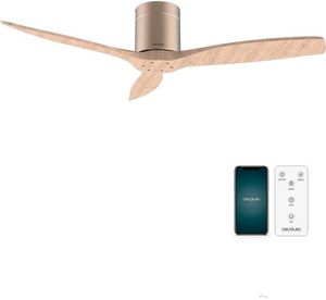   CECOTEC ENERGYSILENCE AERO 5500 AQUA GOLDLIGHTWOOD CONNECTED 08521 /