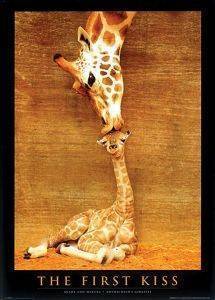 POSTER FIRST KISS (61X91.5CM)