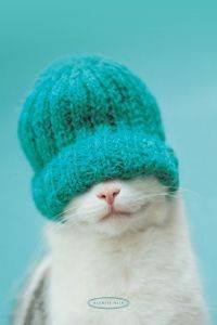 POSTER RACHAEL HALE GUINESS (61X91.5CM)