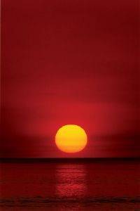 POSTER SUNSET (61X91.5CM)