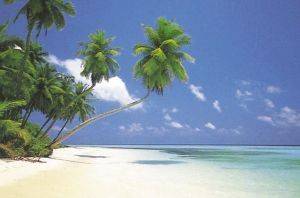 POSTER MALDIVE MORNING (40.6X50.8CM)