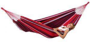 ����� AMAZONAS SALSA FUEGO ��� 2�����