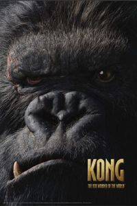 POSTER KONG THE 8TH WONDER OF THE WORLD