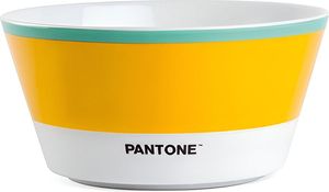  PANTONE  PPA91GV (400ML)