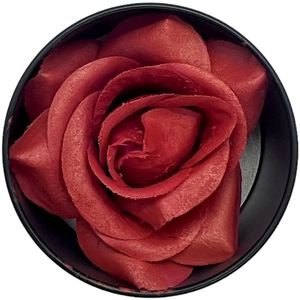  ABSOLUT BEAUTY 3D ROSE BLUSHER ORANGE