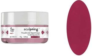   SCULPTING  DIP IN+ PEGGY SAGE ARTY ROSY CHERRY  10GR