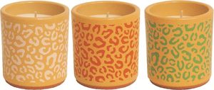  CITRONELLA UNIKER SAFARI TERRACOTA POT     (80X70MM)