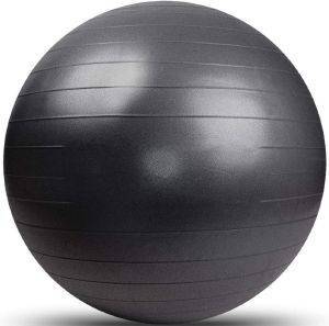  OPTIMUM ANTI-BURST GYM BALL  (55 CM)