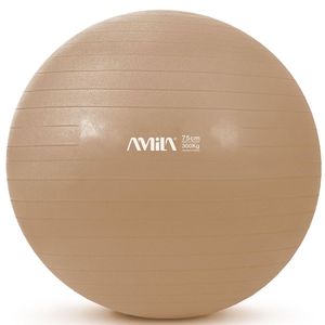  AMILA GYMBALL  (75 CM)