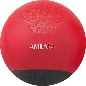  AMILA GYMBALL      (65 CM)