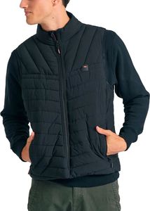   FUNKY BUDDHA FBM012-001-01 