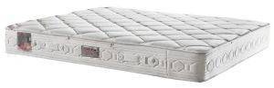  LINEA STROM POCKET SPRINGS DREAM