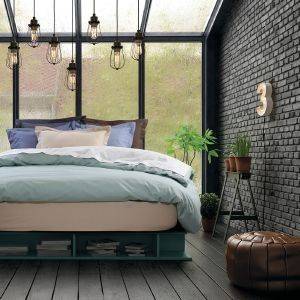   DAS HOME BEST LINE 1002    170260CM