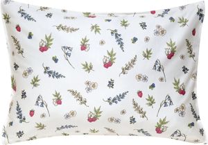   KENTIA FRUTILLA 12 WHITE (2)