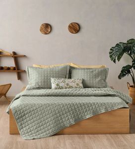   KENTIA VEGAS 2325 OLIVE GREEN (220X240CM)