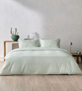   KENTIA EMPRESS 10 MINT GREEN (230X250CM)