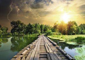 ������ RAVENSBURGER 1000 ��������