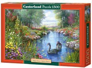 BLACK SWANS ANDRES ORPINAS CASTORLAND 1500 ��������