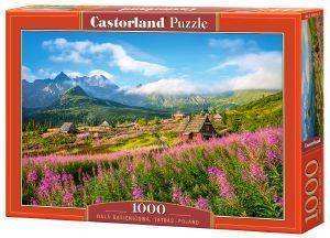 HALA GASIENICOWA, TATRAS POLAND CASTORLAND 1000 ��������