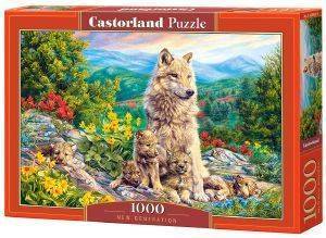 NEW GENERATION CASTORLAND 1000 ��������