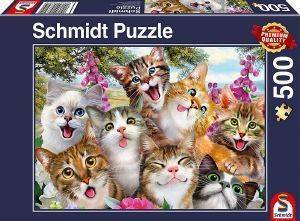 CATS SELFIE SCHMIDT 500  [58391]