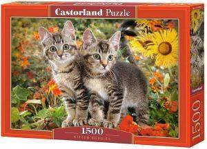 KITTEN BUDDIES CASTORLAND 1500 ��������