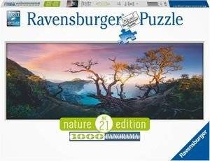 ���� - �������� RAVENSBURGER 1000 ��������