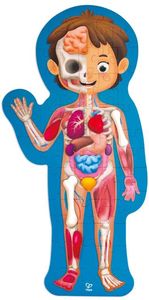       HAPE HUMAN BODY PUZZLE