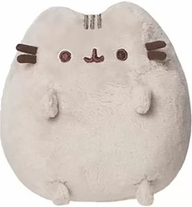   PUSHEEN  (13 .)