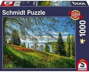 �������� SCHMIDT 1000 �������� [58967]