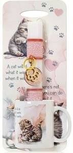 ��������� ������� �� ����� ��� ����� ���� �������