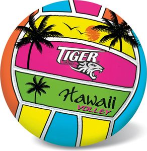  VOLLEY HAWAII  - S.5