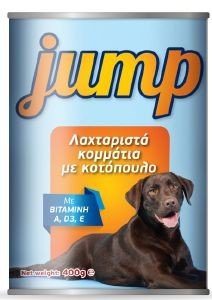   JUMP  1250GR