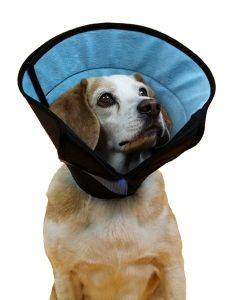 ������������� ������ KVP ������������ CALMER