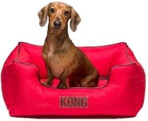 ������� ������ KONG LOUNGER �������