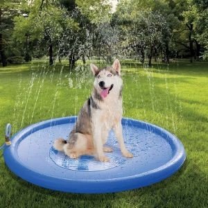   GLEE SPRINKLER MAT 100CM