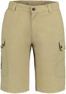 �������� ICEPEAK ANZIO ����