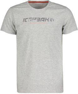 ������� ICEPEAK BRIARCLIFF ����