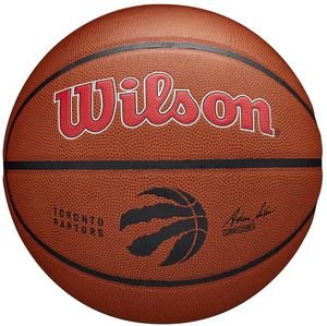  WILSON NBA TEAM ALLIANCE TORONTO RAPTORS  (7)