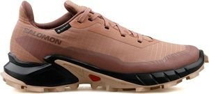  SALOMON ALPHACROSS 5 GORE-TEX  (UK:5, EU:38)