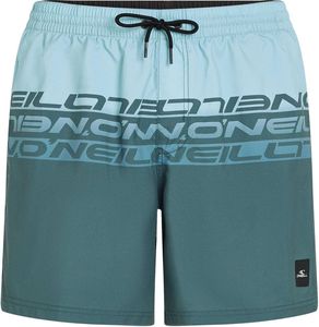   O'NEILL CALI STRIPE 16'' SWIMSHORTS /