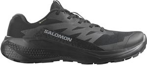  SALOMON ALPHAGLIDE GTX 