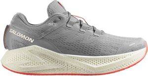 �������� SALOMON AERO GLIDE 3 ���� (UK:9, EU:43 1/3)