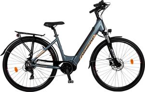 ��������� �������� ORIENT CENTRO 1.0 700C ����
