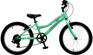 �������� ORIENT SPRINT 20