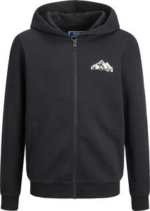 HOODIE   JACK & JONES JCOMOUNTAIN LOGO 12263377 