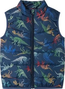   NAME IT NMMMYLANE VEST 13237568 DINO  